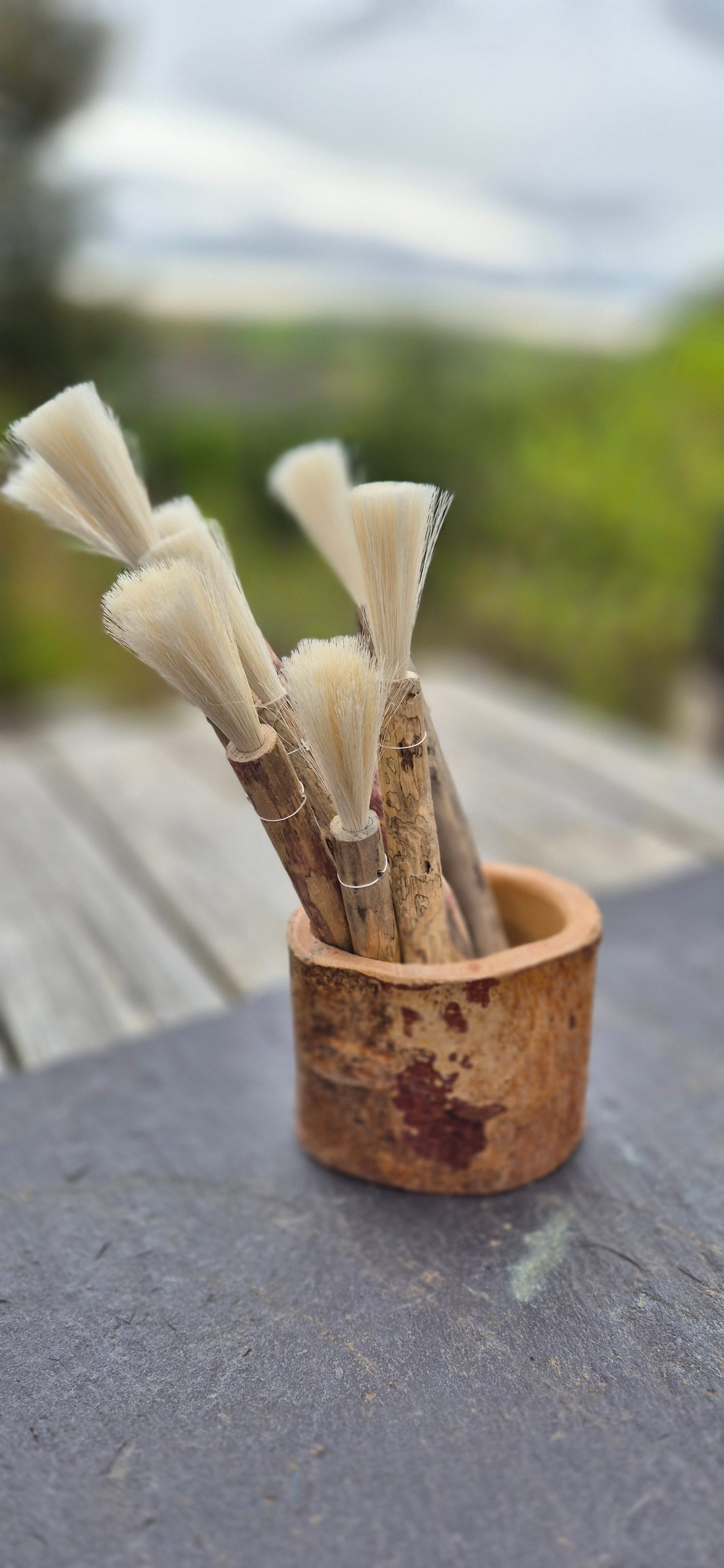 Paint brushes
