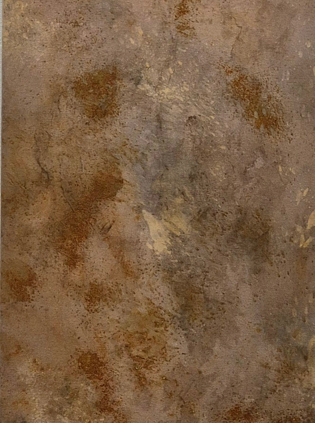 Transference: Beech Bark