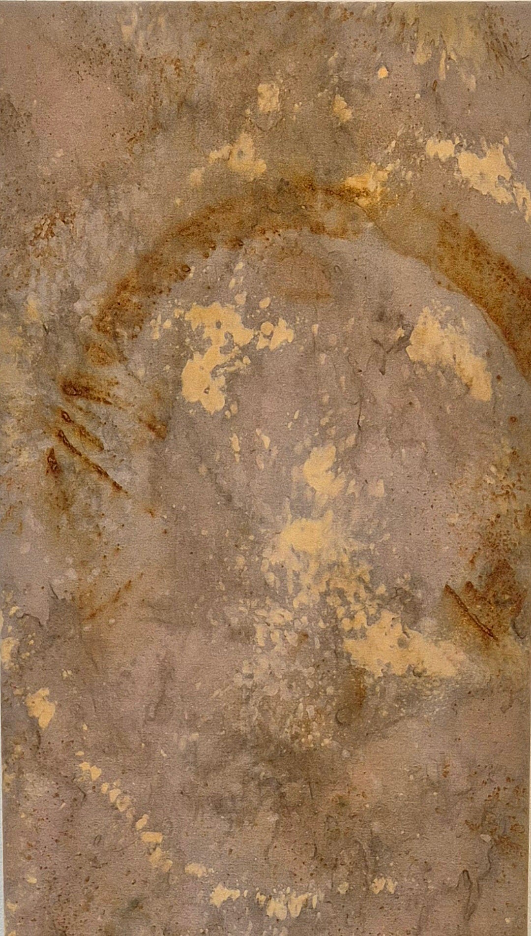 Transference: Beech Bark