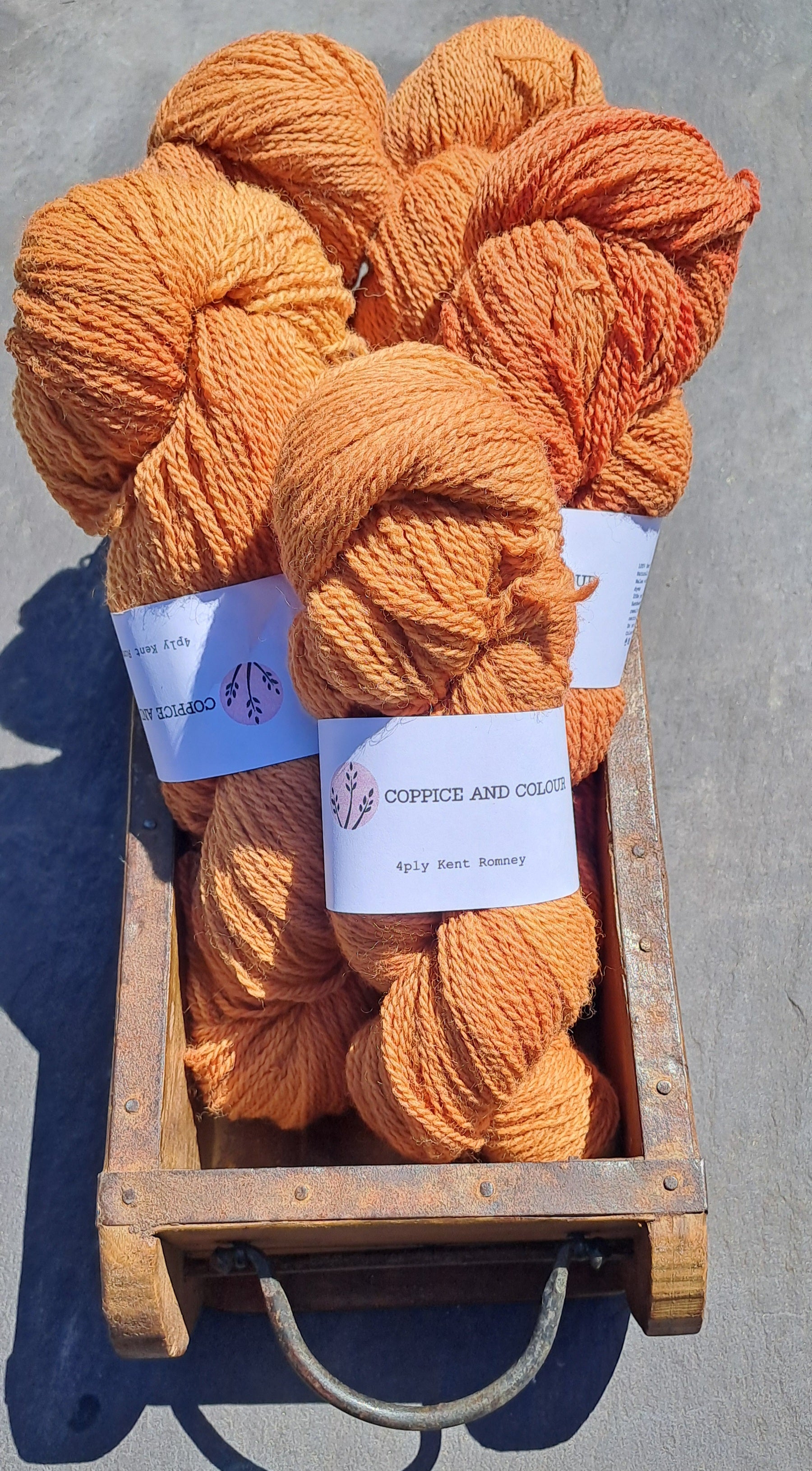 It's my Favorite Crayon – Coppice and Colour
