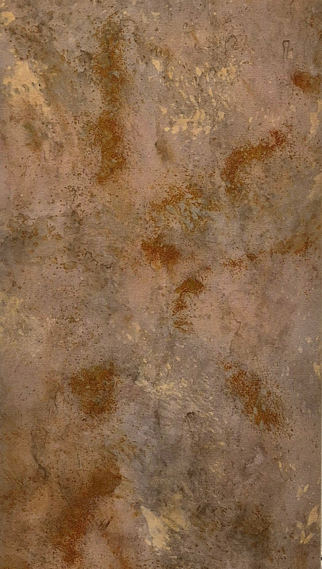 Transference: Beech Bark