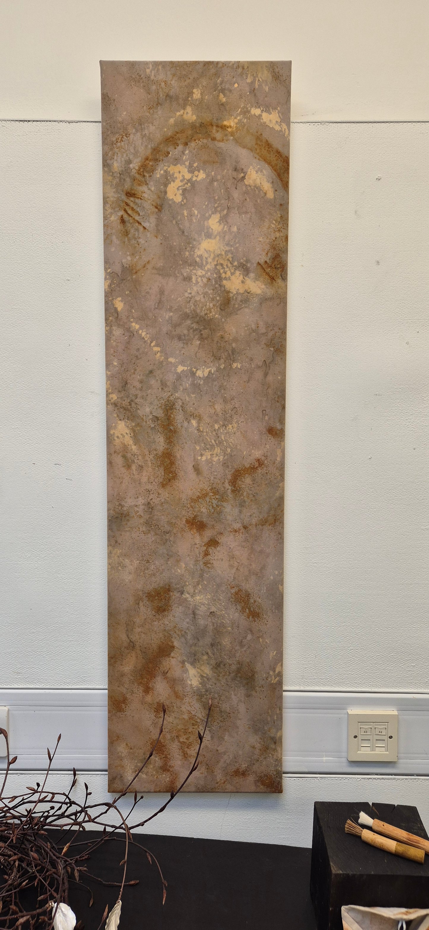 Transference: Beech Bark