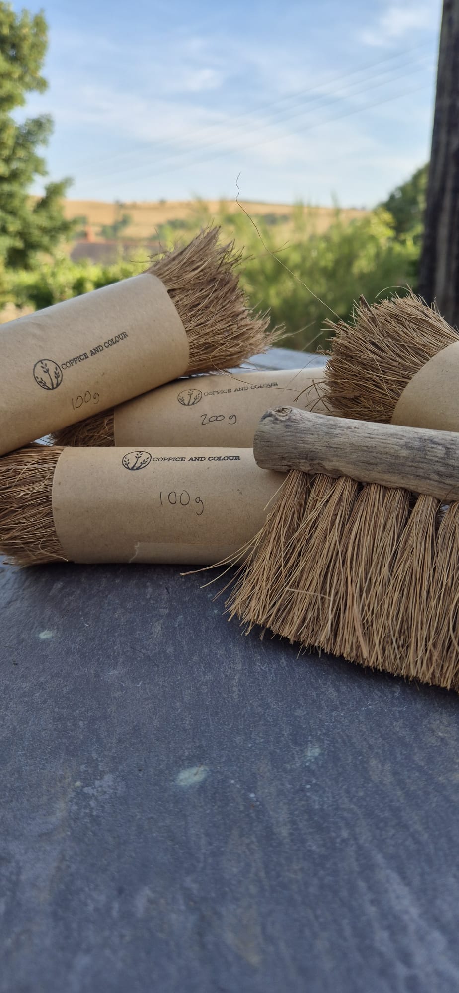 Coconut fibres for brush making