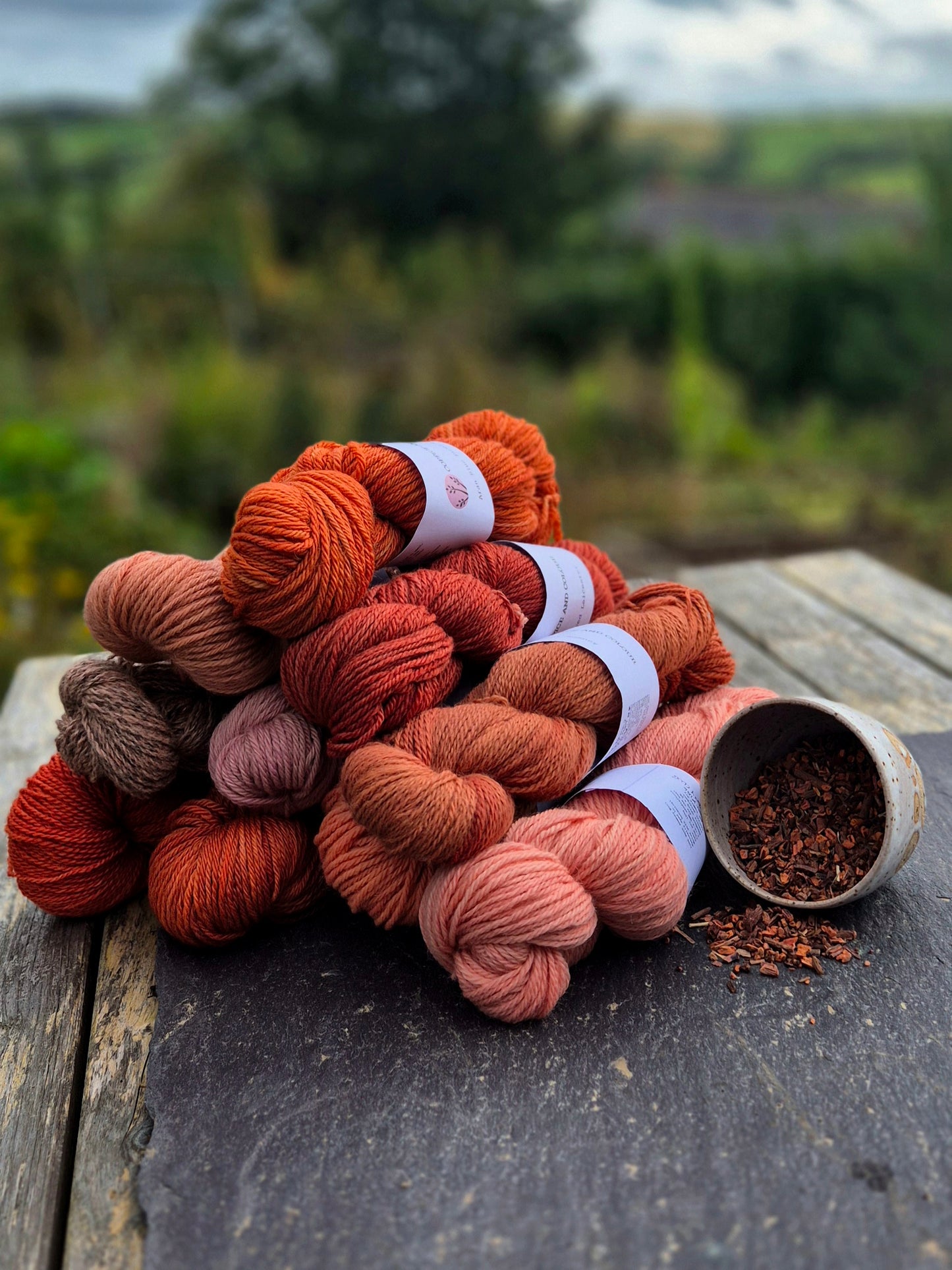 Natural Dye Kit – Madder Root or Weld with British Wool
