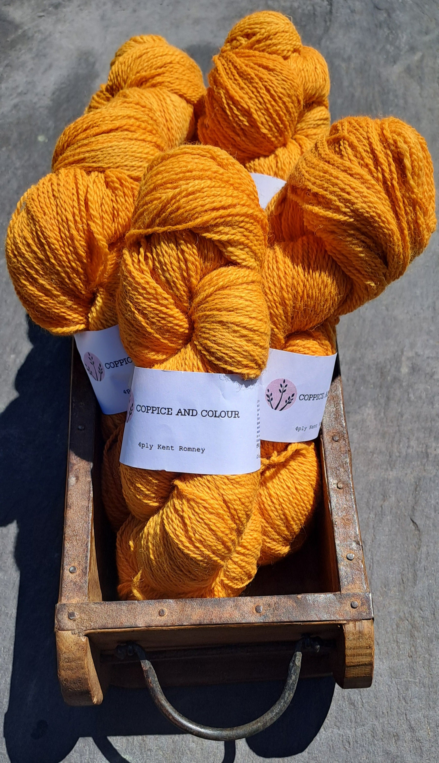 Flash, bam, alakazam – Coppice and Colour