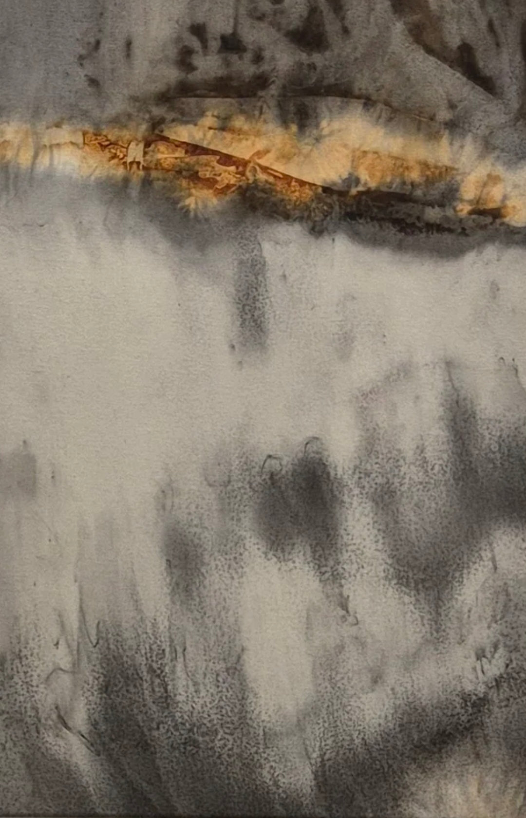 Trosglwyddo: Rhisgl Eiddew